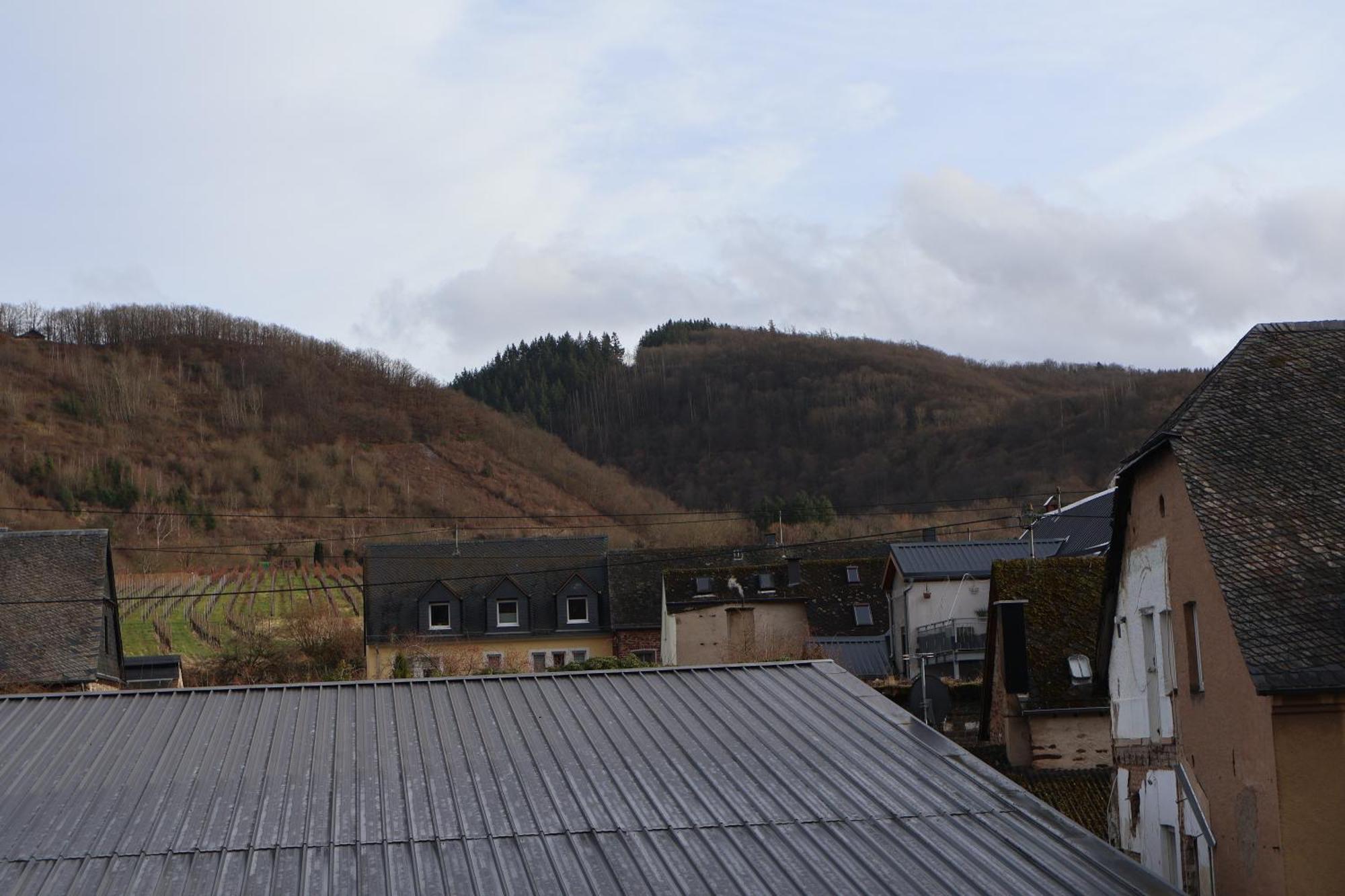 Weinhaus Hirschen Bruttig Hotel Kültér fotó